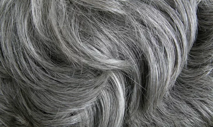 Does Pulling One Gray Hair Cause More to Grow in its Place?